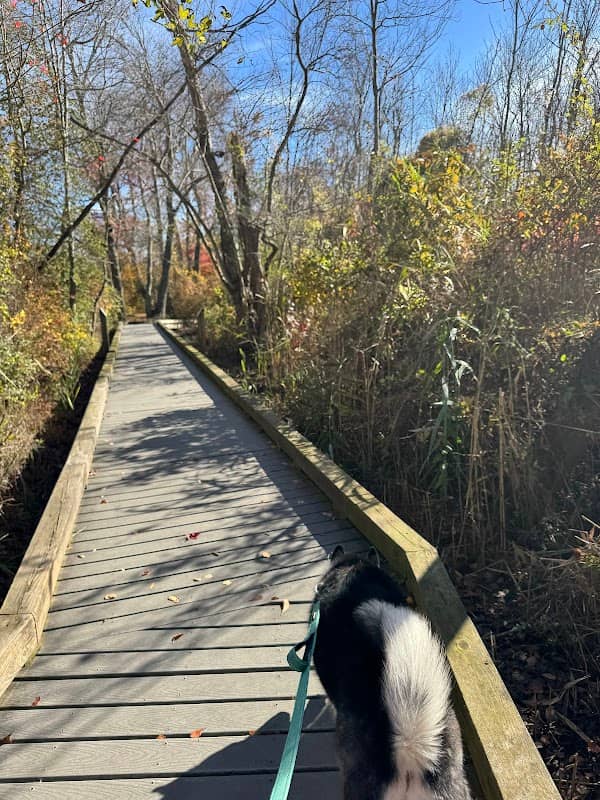 Goat Island Nature Area - Image 2