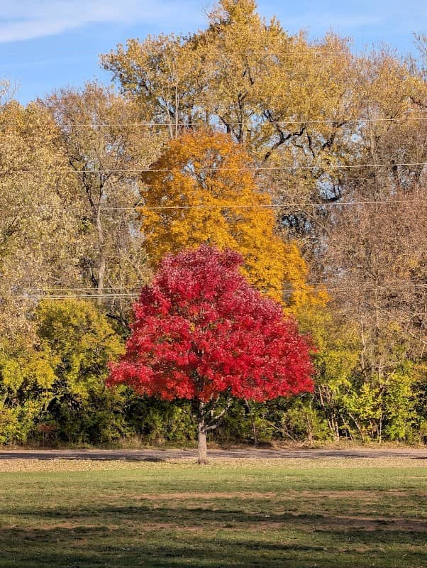 City Park - Image 3