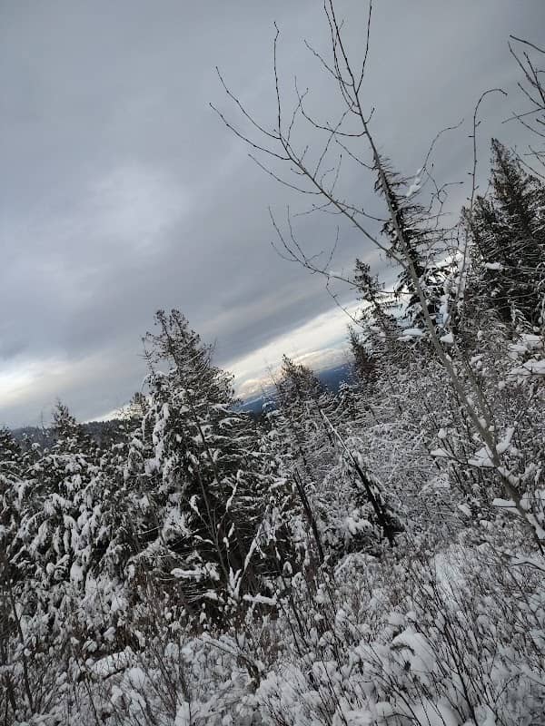 Hillcrest Park - Image 1