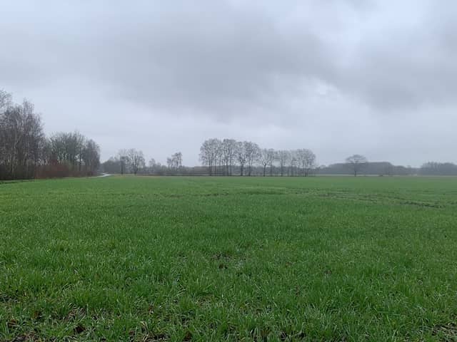 Ochsenmoor - Image 1