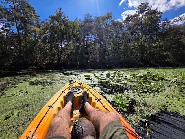 Yellow Jacket Conservation Area - Image 2