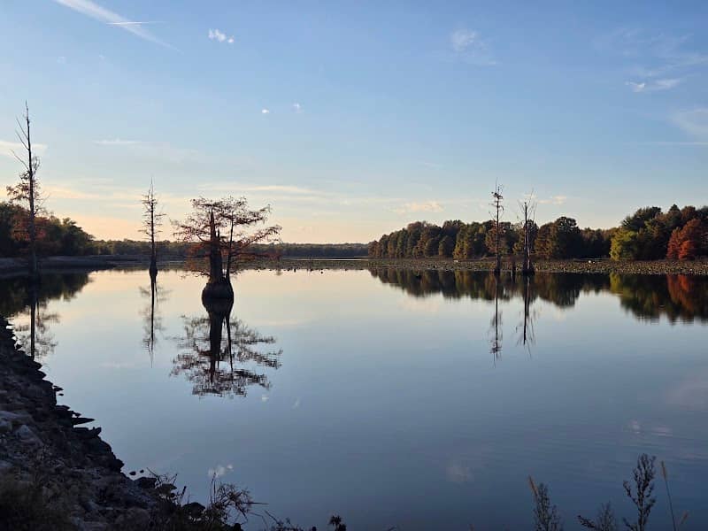 Mermet Swamp Nature Preserve - Image 2
