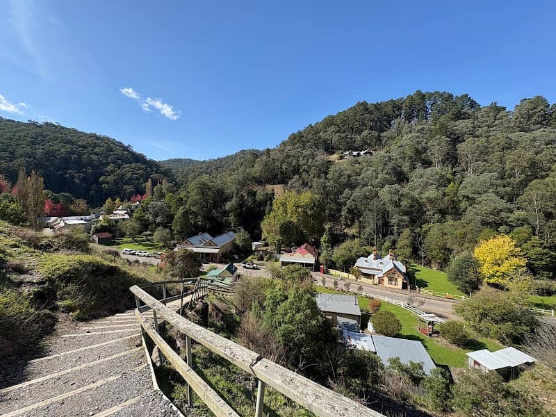 Walhalla Historic Area - Image 1