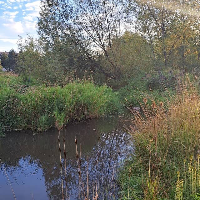 Heron's Hideout - Image 1