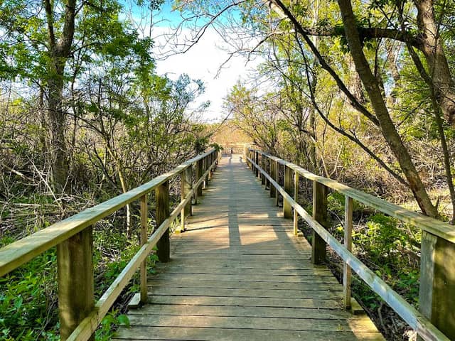 Magee Marsh - Image 3