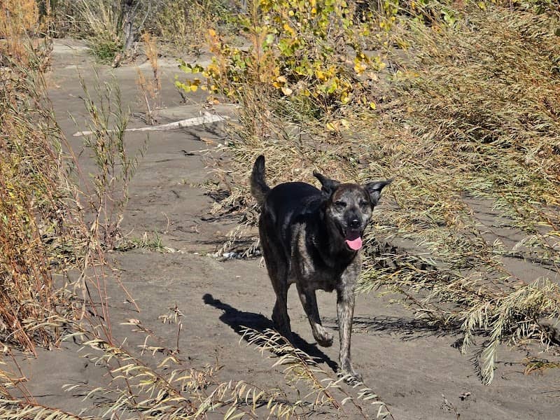 Riverside Park - Image 1