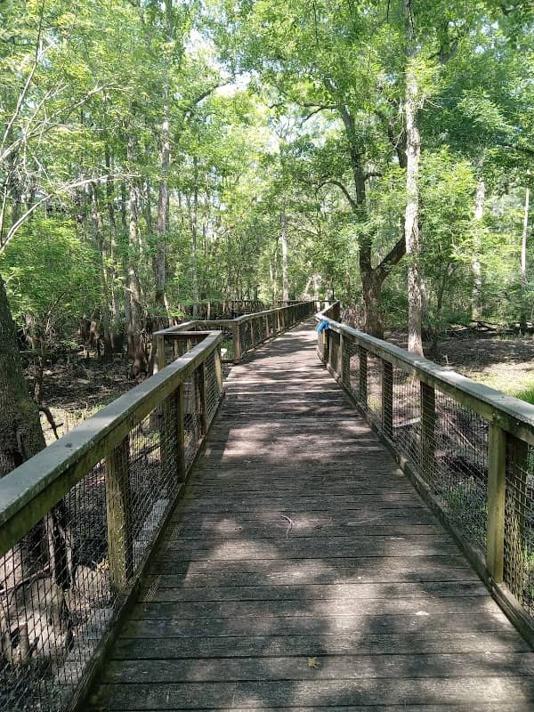 Andrews Wildlife Management Area - Andrews Tract - Image 3