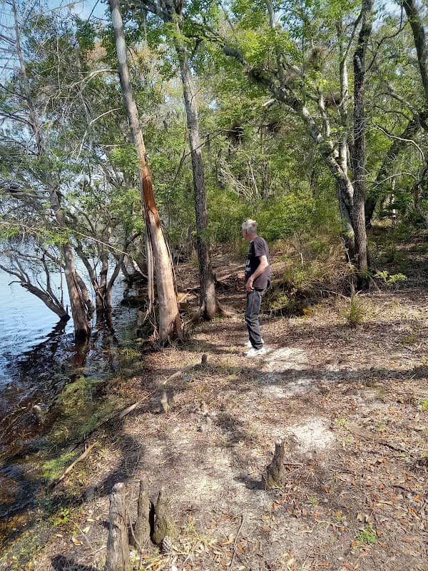 Andrews Wildlife Management Area - Andrews Tract - Image 2
