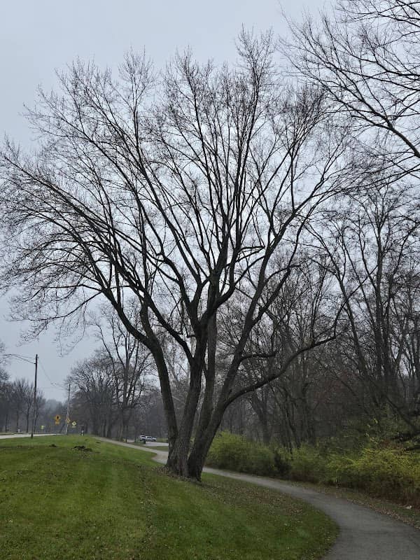 Riverside Park - Image 2