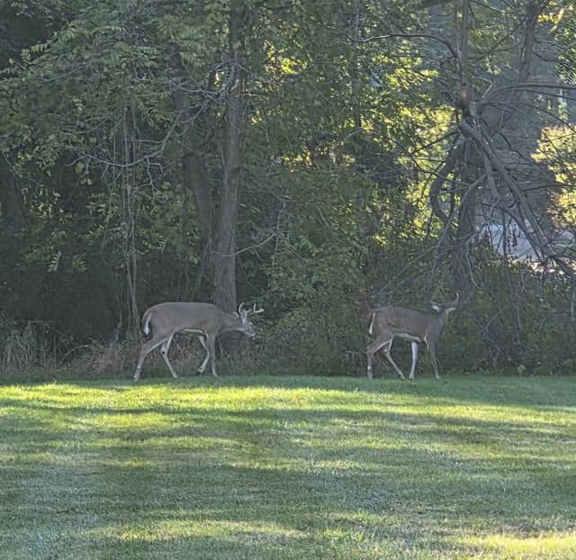 Grove Miller Park - Image 2