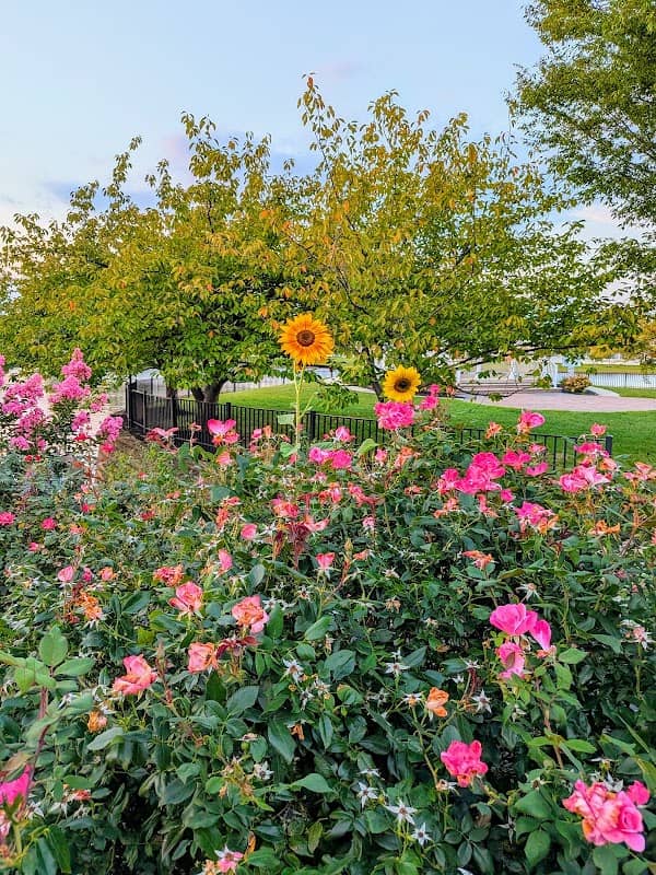 West Lake Park - Image 1