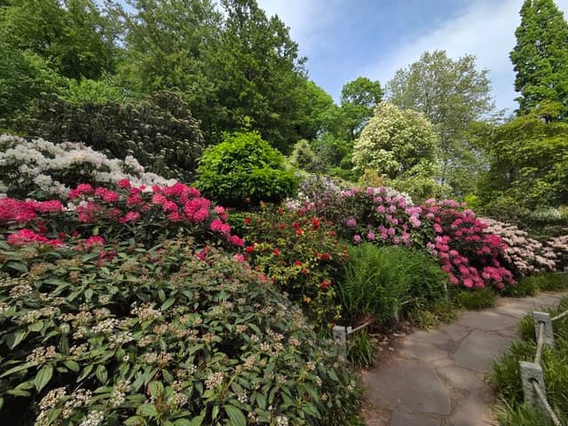 Botanical Garden - Image 1