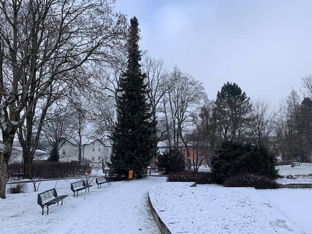 Kur Park - Image 1