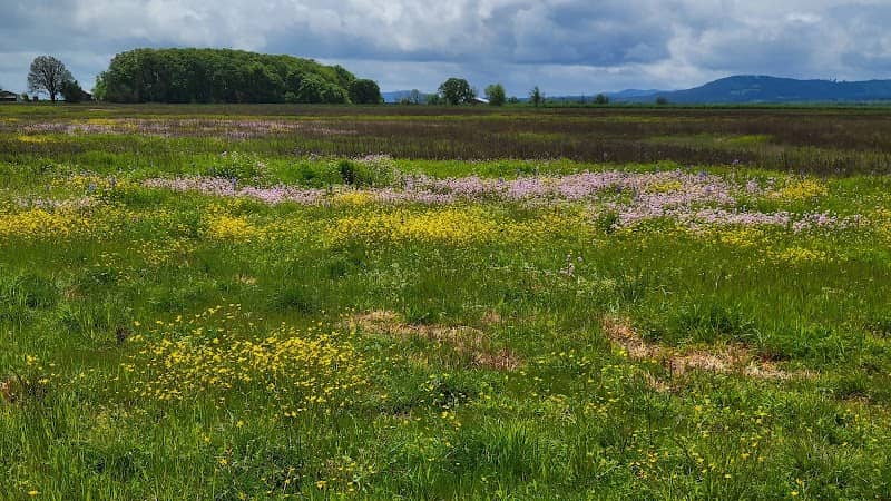 Herbert Farm And Natural Area - Image 1