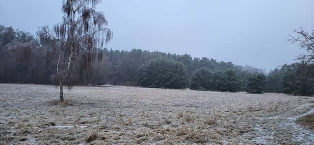 Torfstich Klosterfelde - Image 1