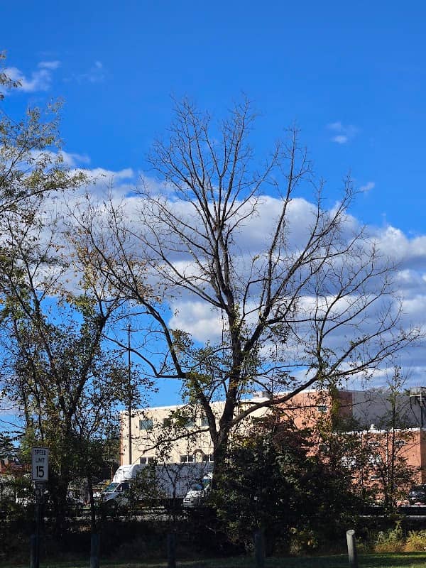 Brown Avenue Park - Image 2