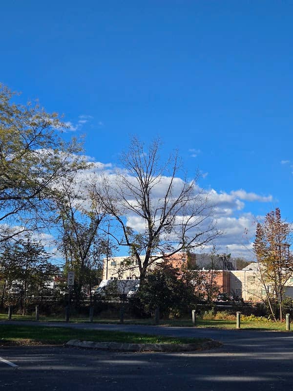 Brown Avenue Park - Image 1