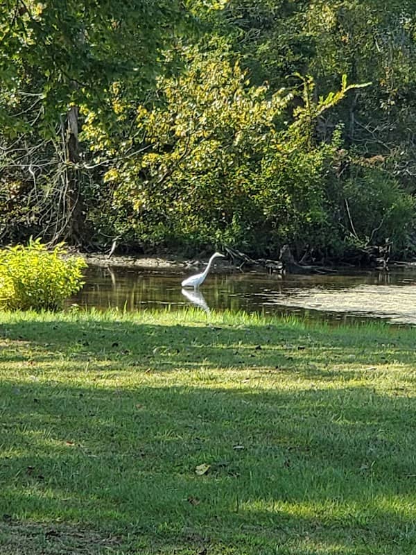 Stevenson City Park - Image 1