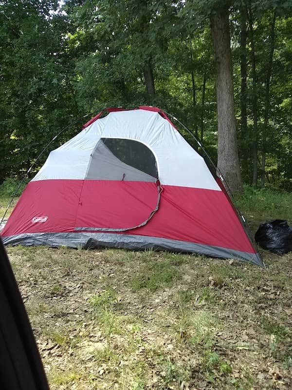 Ponderosa Campground - Image 1