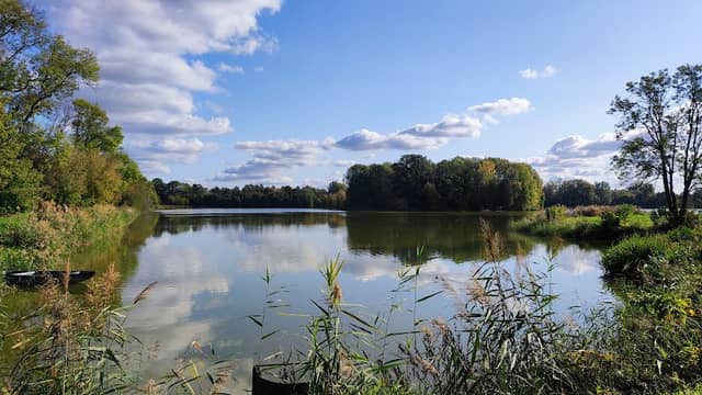 Raszyn Ponds Reserve - Image 2
