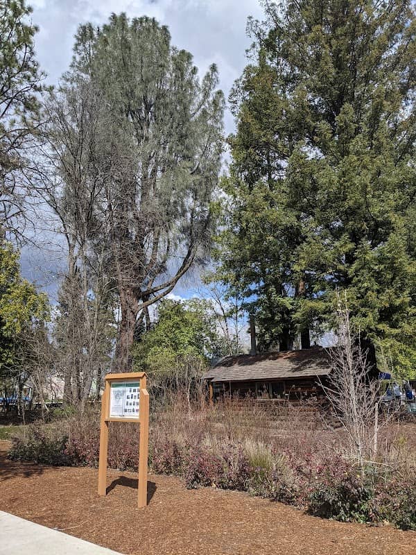 The Skyrman Central Point Arboretum - Image 3