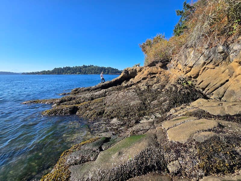 Blakeley Formation - Image 2