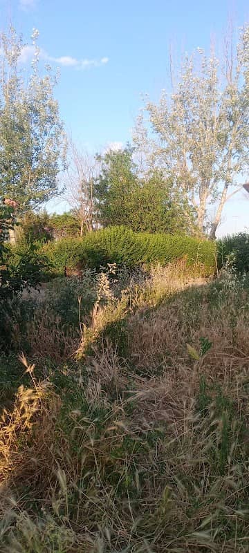çitos parkı - Image 1