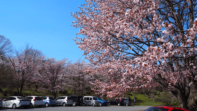 Usuzenkoji Natural Park - Image 1