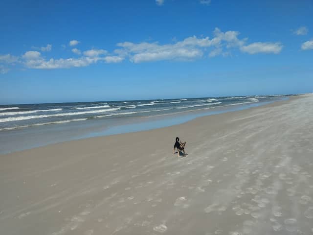 Plaża w Dębkach - Image 2