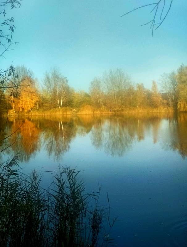 Wyspa na stawach Glinianki - Image 1