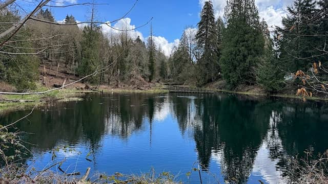 West Biddle Lake - Image 2