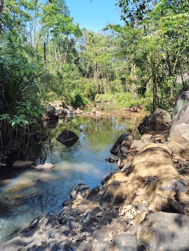 Erappil Waterfalls - Image 1