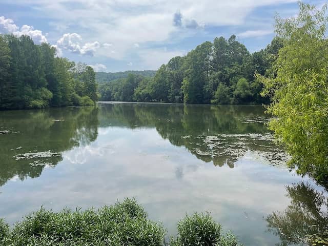City Lake Natural Area - Image 1