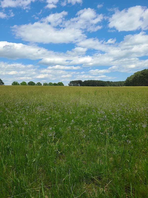 Oak Ridge Heritage Farm Park - Image 1