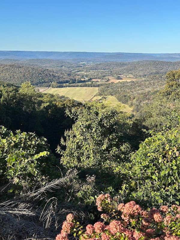 Grant Lookout - Image 1