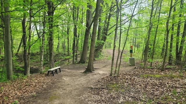 Sessions Lake Disc Golf Course - Image 1