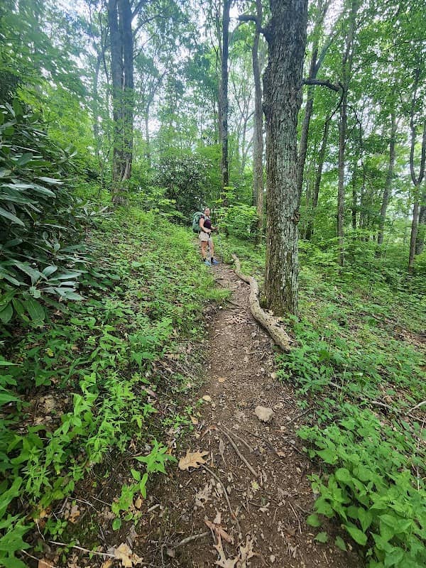 Appalachian Trail - Image 1