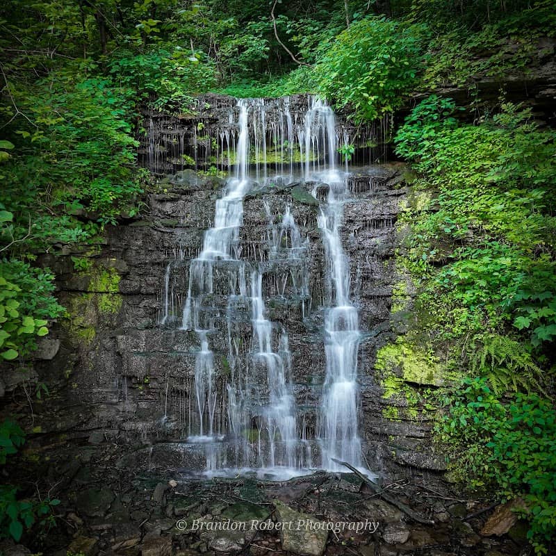 Cove Spring Park - Image 3