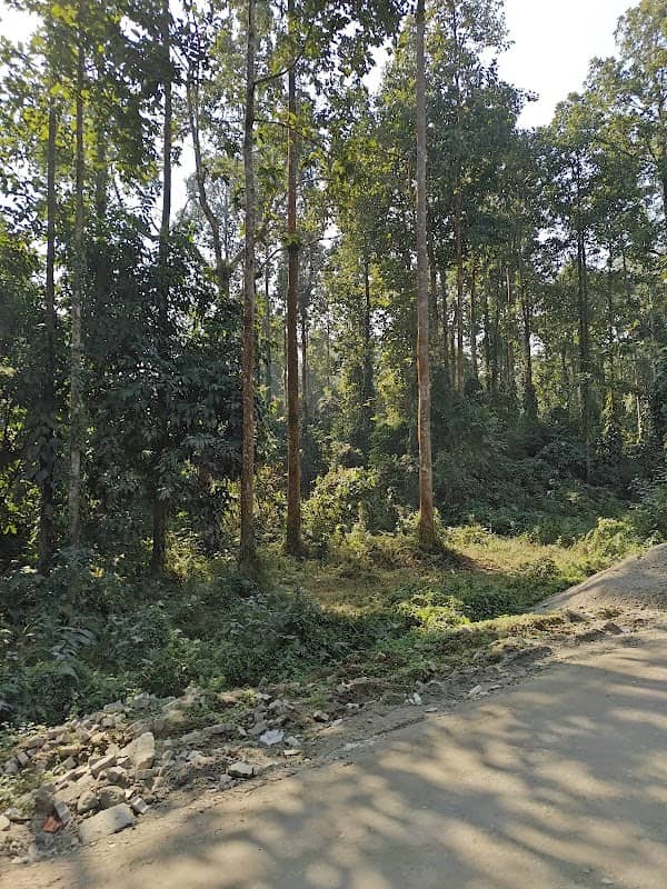 Noloni Reserved Forest - Image 1