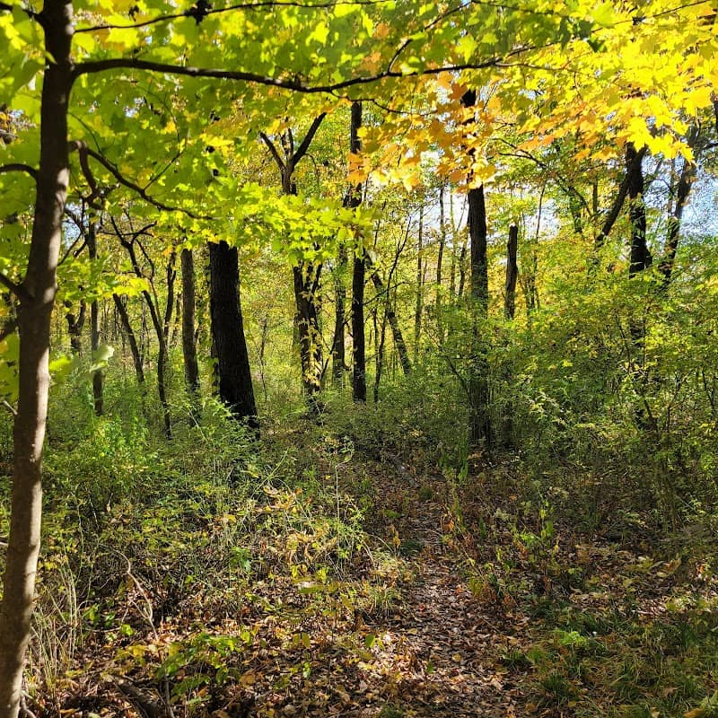 Walton Woods - Image 2