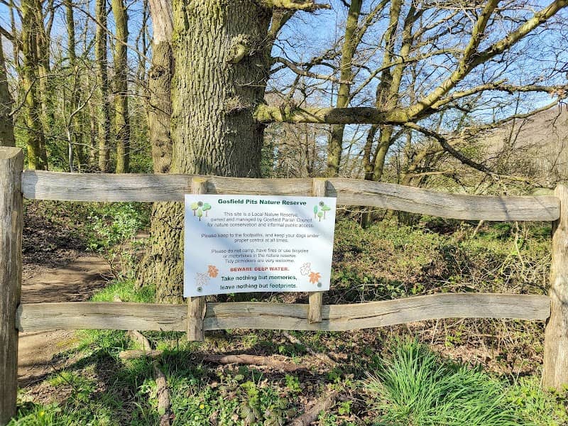 Gosfield Sandpits - Image 2