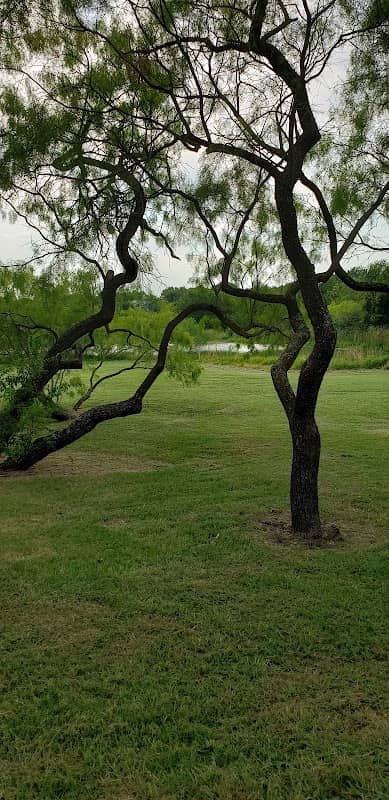 Tree Line Park - Image 3