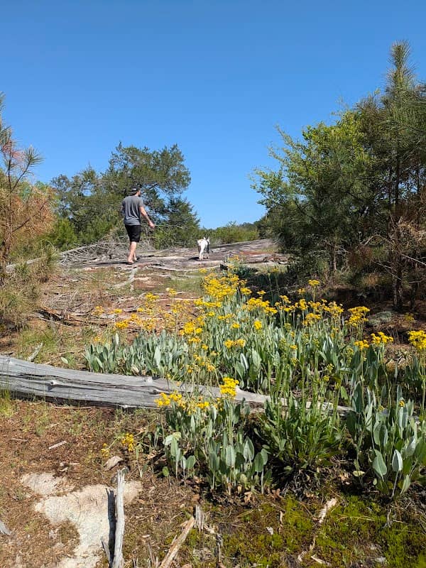 Black Shoals Trail - Northern Road Access - Image 1