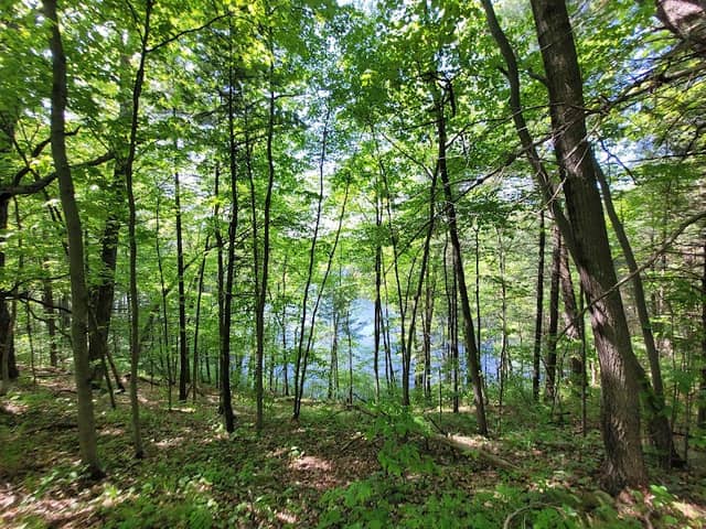 Ice Age Trail - Chippewa Moraine Segment western trailhead - Image 1