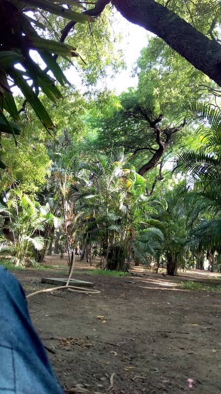 NIAMT Colony Park - Image 2