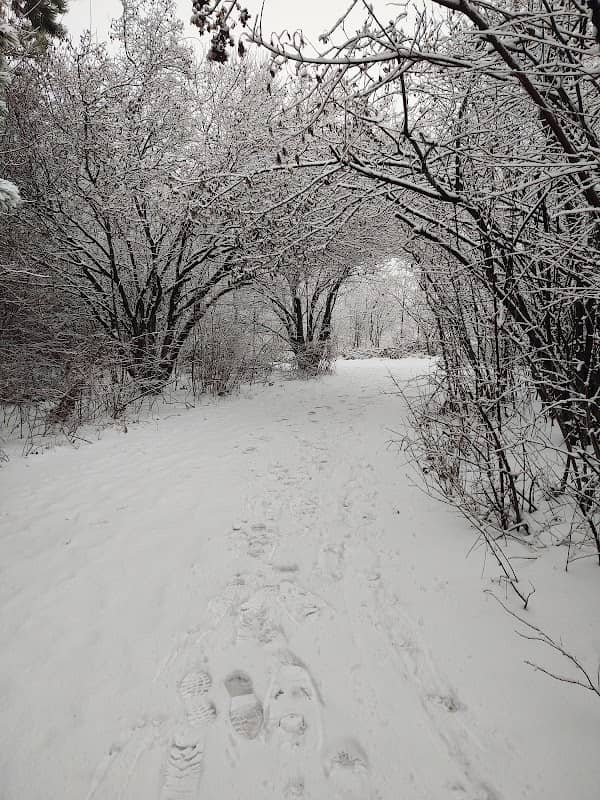 Riverside Park - Image 2