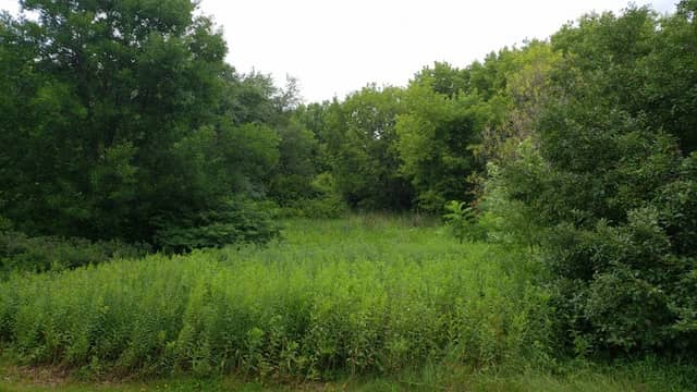 Timberlea Park - Image 3