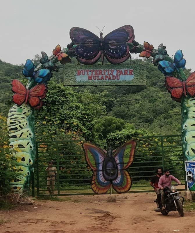 Butterfly Park-Mulapadu - Image 2