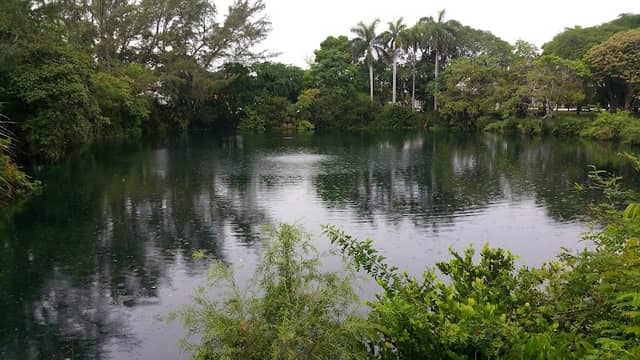 Fuchs Park - Image 1
