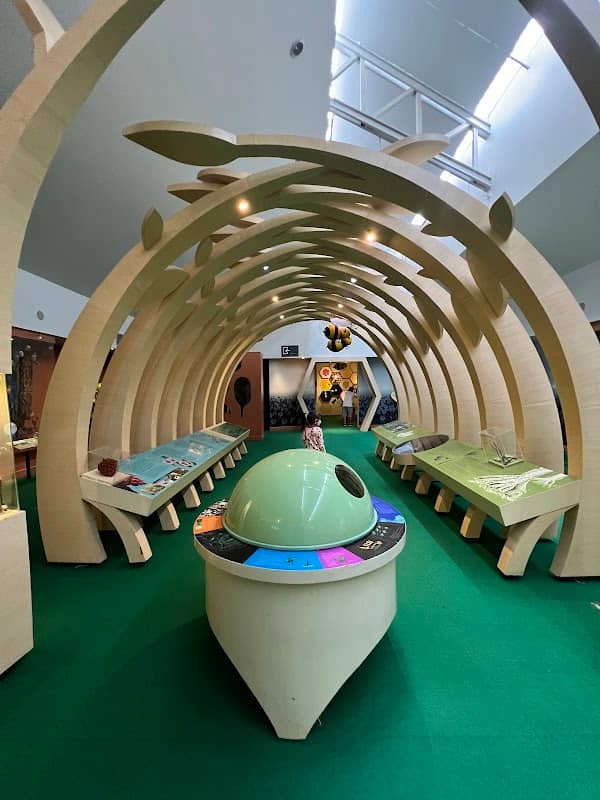 Natural Science Museum - Image 1